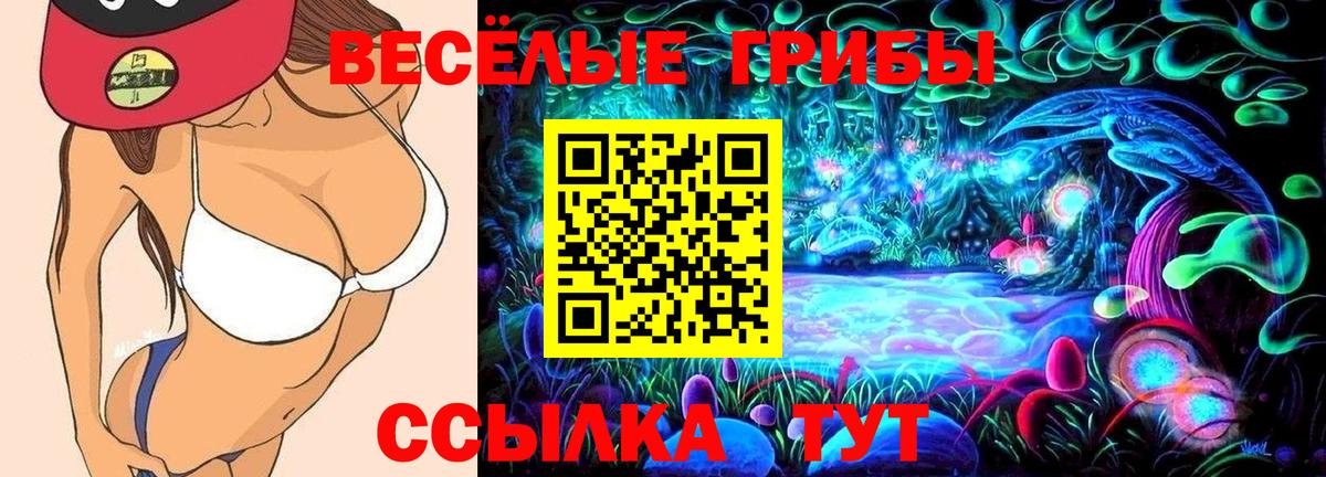 Галлюциногенные грибы Cubensis  Вход с VPN  Пугачёв  Галлюциногенные грибы ЛСД 